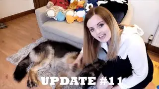 Suzy Lu Update #11 - Questions & Lies