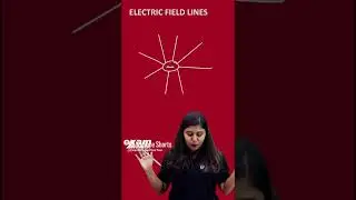 Important Question -Direction of Electric Field Lines