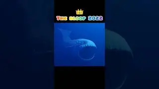 Bloop Of Evolution 