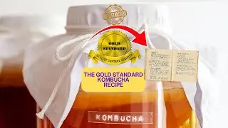 Grandma’s Kombucha Recipe That Always Works!