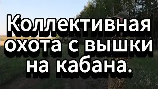 Охота на кабана с вышки