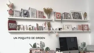 Un poquito de orden 🌸