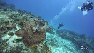 Yucab 2 of 7