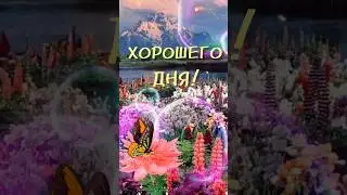 Хорошего дня! Самому дорогому человеку❤️