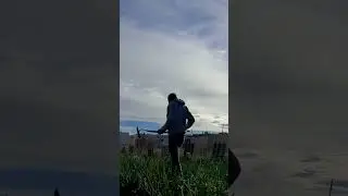 Tempestes venen  del sud