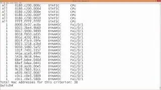 79 MAC Address Table