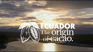 Ecuador the origin of cacao