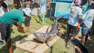 Who Won The Big Fish Competition | Oracabessa Marlin Tournament Oct 13, 2024 (pt2)