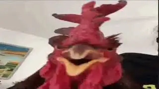 Мусора бл*ди...