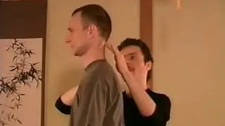 Медицинский Цигун. Синг Шен Чжуань. Обучающая программа, Академия Дэвида Шена, 2002