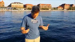 Facebook forbandelsen - directors cut
