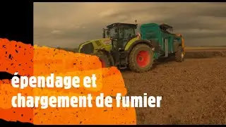 Ependage et chargement de fumier 2021