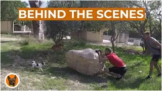 Behind the scenes EPISODE 1