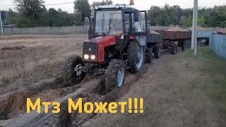 Mtz 820 Tractor Is Stuck With 20 tons Of Potatoes! Agriculture in Belarus