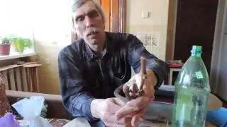 Домашнее укоренение черенков. Часть 1