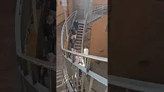9 июня 2024 г.