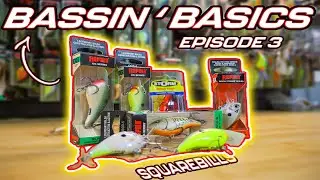 Bassin’ Basics - Episode 3 - ( Square Bills )