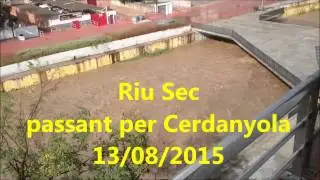 Crescuda del riu Sec (Cerdanyola, 13/08/15)