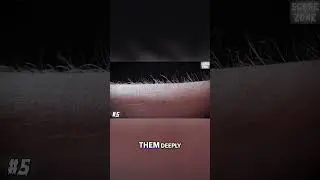 Is This Store in Brazil Haunted?  Shocking Footage Revealed!