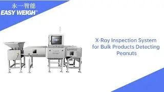 Revolutionizing Food Safety: X-Ray Inspection System for Bulk Products Detecting Peanuts
