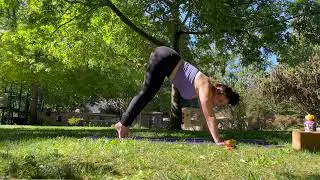 Power Flow