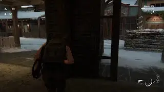 The Last of Us Part II Remastered abby