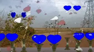 Wedding Frame Green Screen Background || Beautiful Marriage Green Screen Wedding Frame