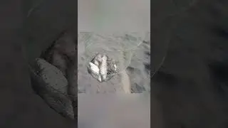 #рыбалка