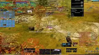 ArcheAge/ЛордПолтосик/Тестируем массовый азарт на прайме! сервер корвус.