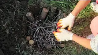 Новый вариант посадки смородины. Первый покос - он трудный самый