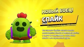 апаю спайка