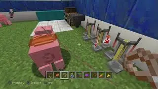 How to tame a pig