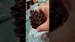 Ричард носит маме подарки)))