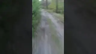 Bear Attack, Man is trying to run away from attacking Bear: GoPro #shorts