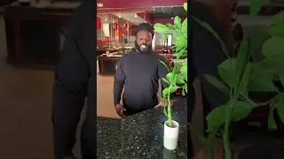 #comedy #comedyvideo #comedyvideos #comedyshorts #comedy_video #joke #funny #funnyvideo #funnyvideos