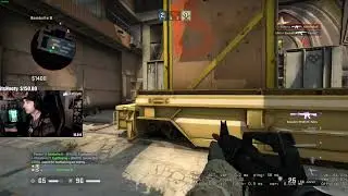 SUMMIT1G IMMUNE TO THE MOLOTOV