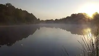 Панорама речной излучины в первое утро лета