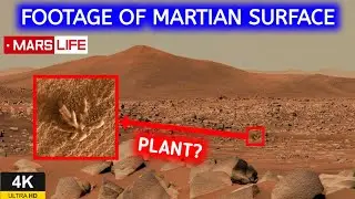 MARS Rover Finds PLANT? Curiosity Rover Exploring The Red Planet Part 1