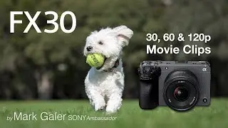 3-minutes of Movie clips captured with the Sony Alpha FX30 Cinema Line Camera