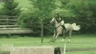 Лошадь скинула