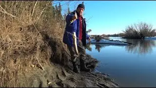Рыбалка на налима. Аляска. Burbot. Fishing.