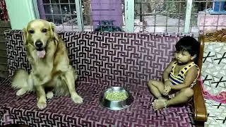 ভাই বোনের কতই রঙ্গ ।কি করল দুজন?#viral#subscribe#ytshorts#trending Eid Mubarak from simba#eidspecial
