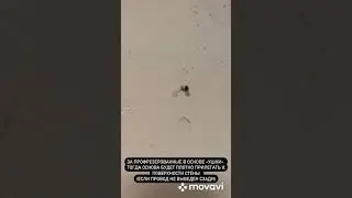 Варианты монтажа LED-неона