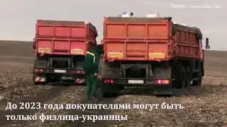 Рада проголосовала за рынок земли: что нужно знать о нем?