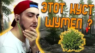BULLSEYE | УСНУЛ ПОСРЕДИ КАТКИ | БУУУМ!! И В ТЕМЕЧКО | Escape from Tarkov | bullseye fun