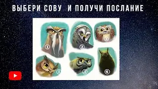 Получите подсказки от Сов 🦉которые Вам нужно услышать. Психологические тесты