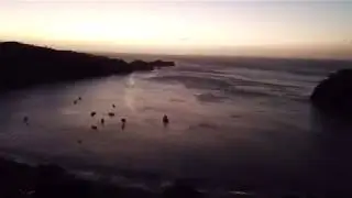 8B20D4E1 27F2 47B9 81AE 26FB536EF7FB