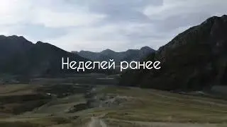 11 января 2023 г.