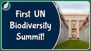 The First United Nations Summit on Biodiversity