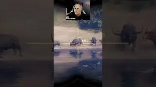 Do These Have the BIGGEST HORNS in the GAME?!? 😳😳😳 - Call of the Wild #shorts